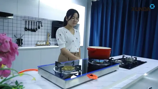 Estufa de Gas de mesa de acero inoxidable duradera con doble quemador, estufa de cocina de Gas para el hogar con llama Tornado de alta eficiencia